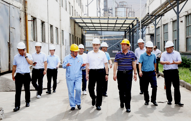 新安縣委副書(shū)記、縣長(zhǎng)王智一行到萬(wàn)基控股集團(tuán)調(diào)研